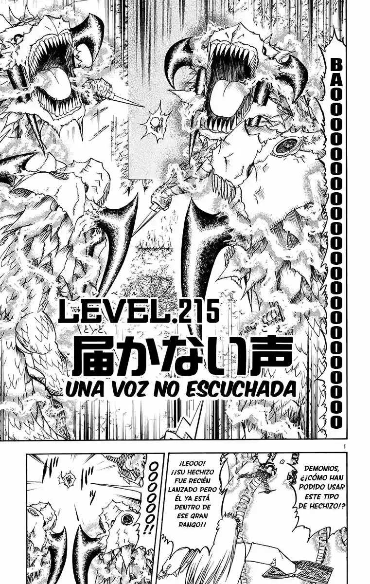 Konjiki No Gash Bell - Capítulo 215 - Página 2 - LectorTMOo