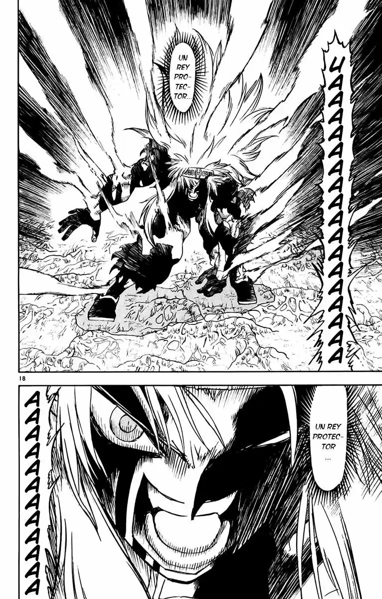 Konjiki No Gash Bell - Capítulo 222 - Página 19 - LectorTMOo