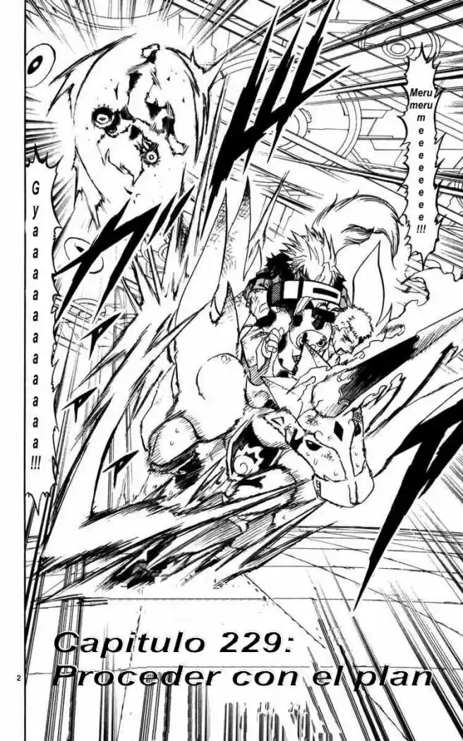 Konjiki No Gash Bell - Capítulo 229 - Página 2 - LectorTMOo