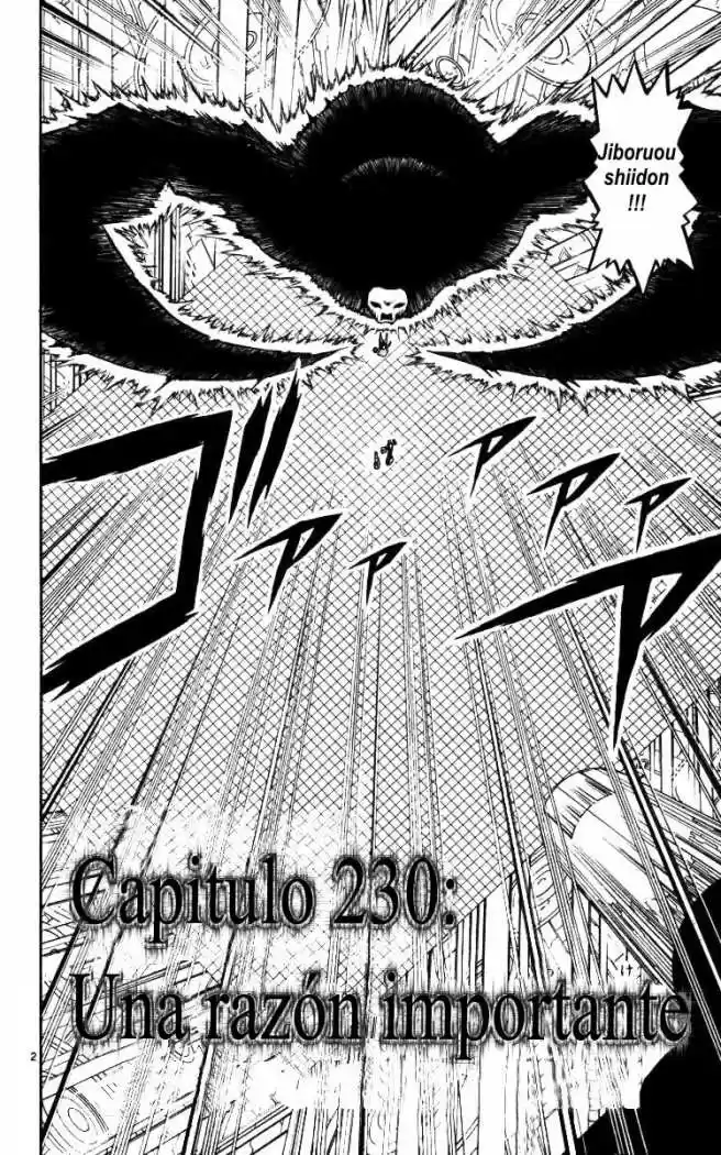 Konjiki No Gash Bell - Capítulo 230 - Página 2 - LectorTMOo