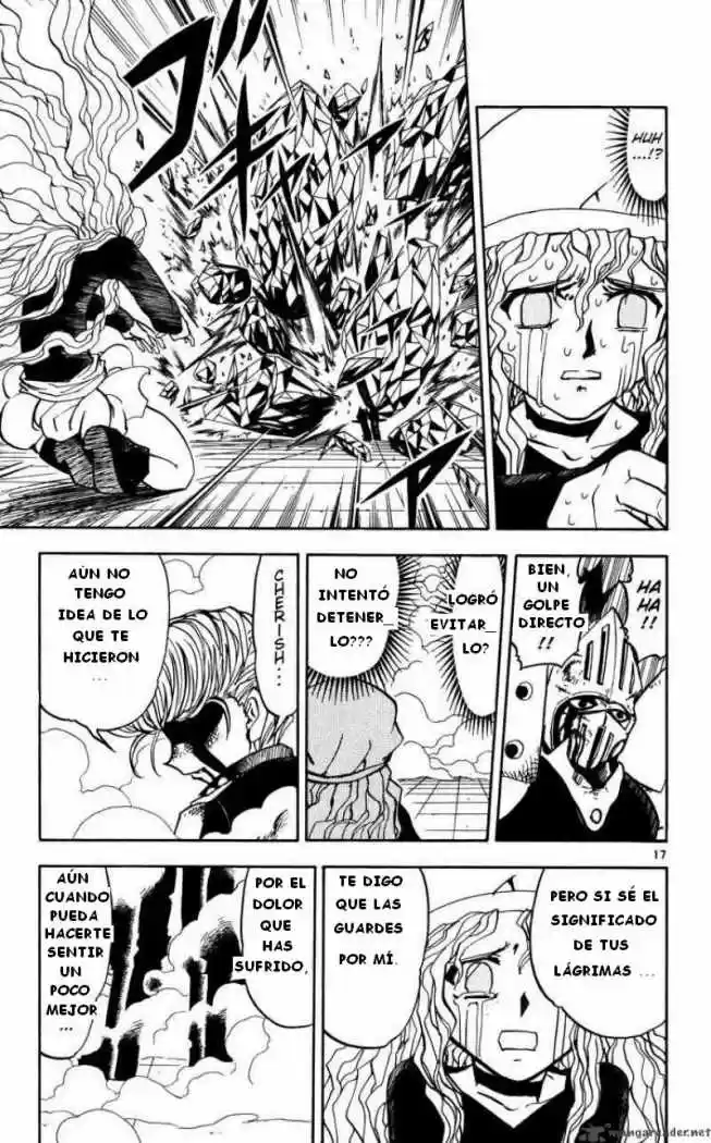 Konjiki No Gash Bell - Capítulo 233 - Página 17 - LectorTMOo