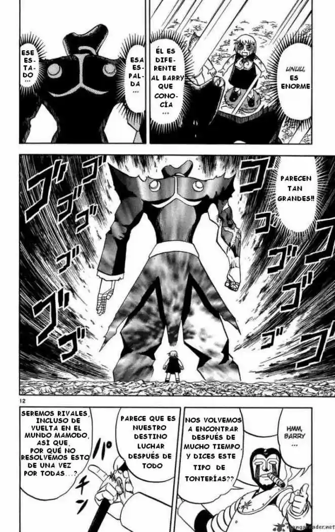 Konjiki No Gash Bell - Capítulo 238 - Página 12 - LectorTMOo