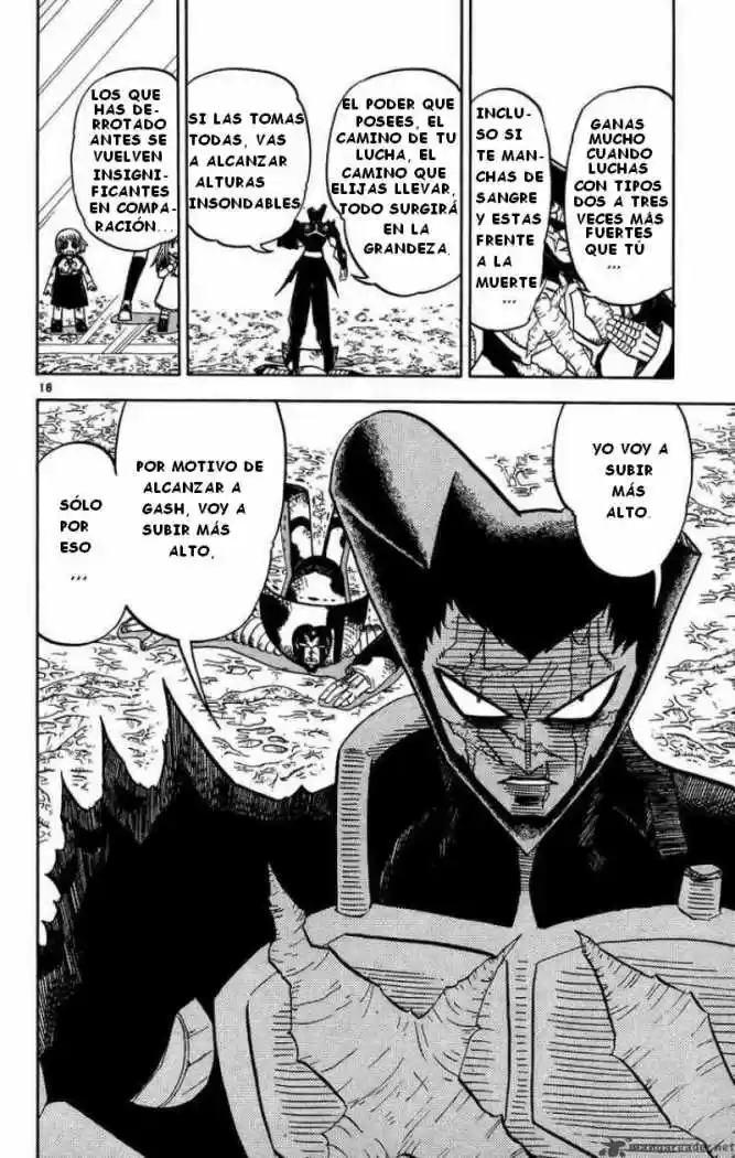 Konjiki No Gash Bell - Capítulo 239 - Página 18 - LectorTMOo