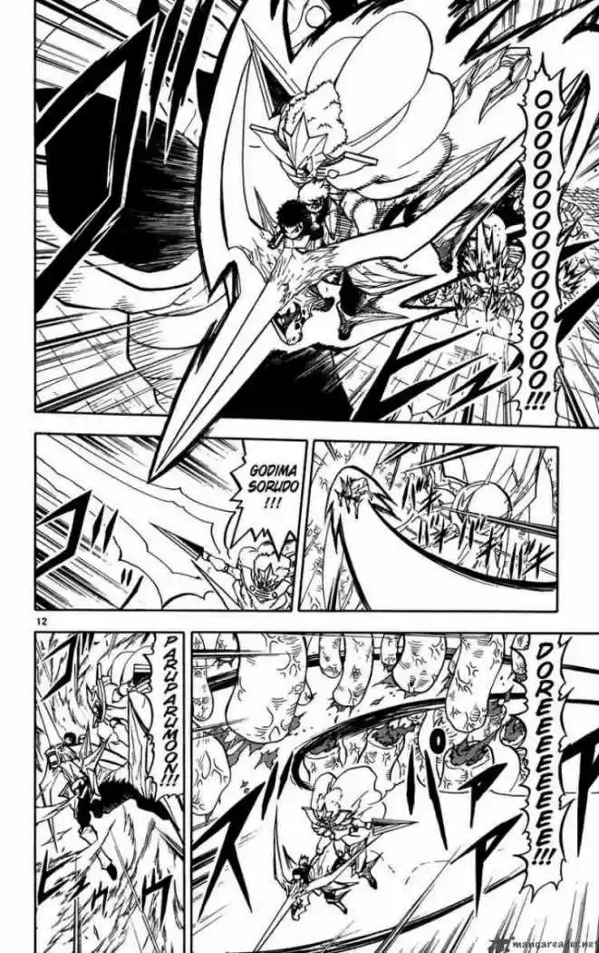 Konjiki No Gash Bell - Capítulo 243 - Página 12 - LectorTMOo