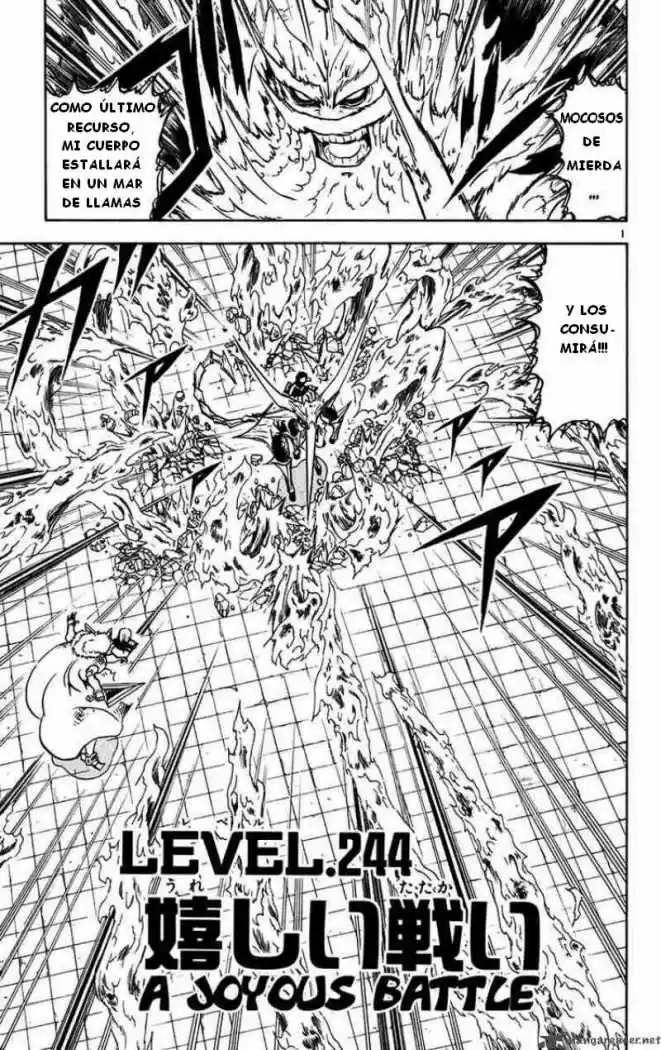 Konjiki No Gash Bell - Capítulo 244 - Página 2 - LectorTMOo