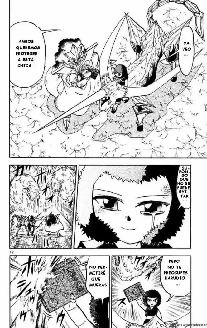 Konjiki No Gash Bell - Capítulo 244 - Página 13 - LectorTMOo
