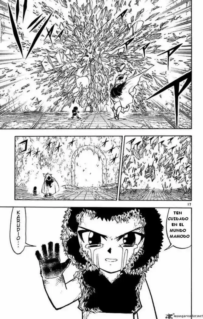 Konjiki No Gash Bell - Capítulo 244 - Página 18 - LectorTMOo