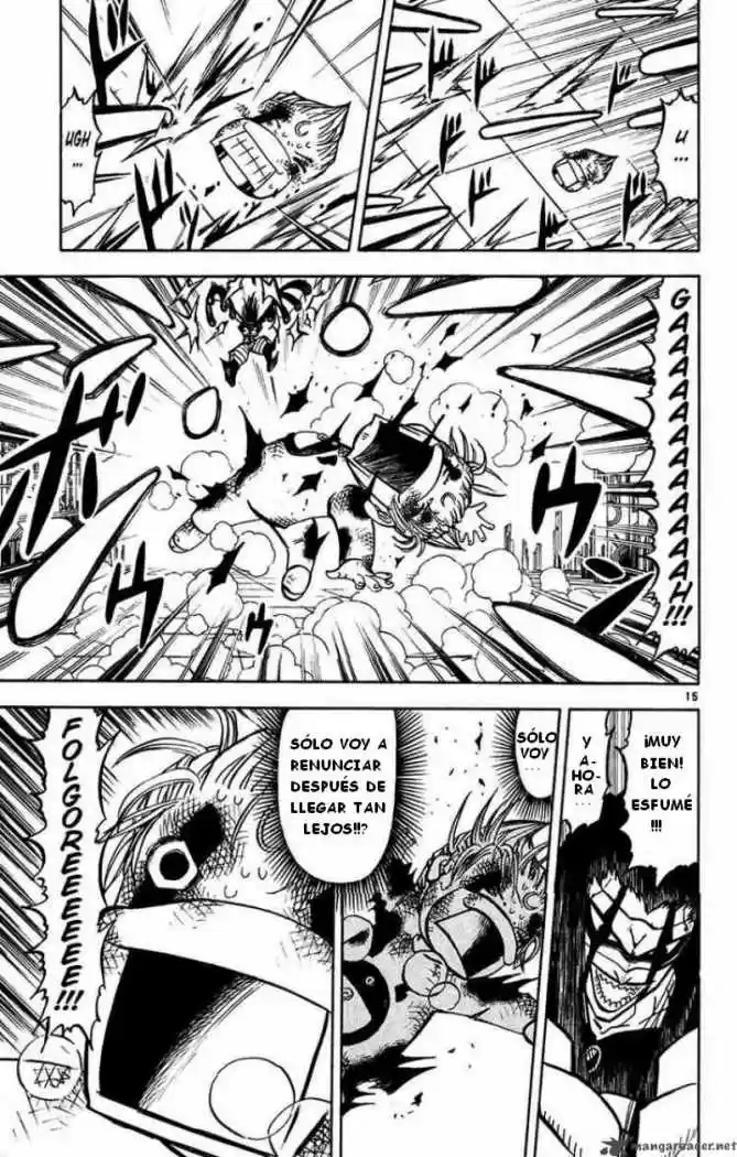 Konjiki No Gash Bell - Capítulo 246 - Página 15 - LectorTMOo