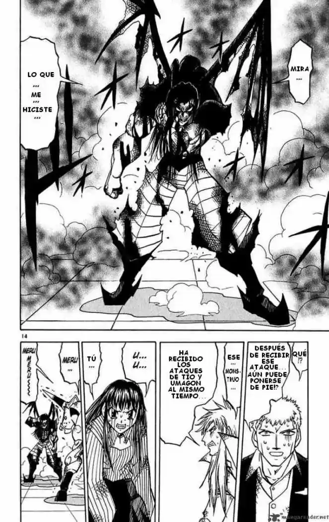 Konjiki No Gash Bell - Capítulo 248 - Página 13 - LectorTMOo