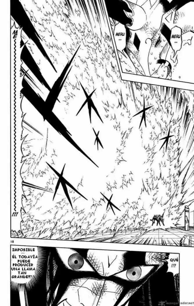Konjiki No Gash Bell - Capítulo 249 - Página 17 - LectorTMOo