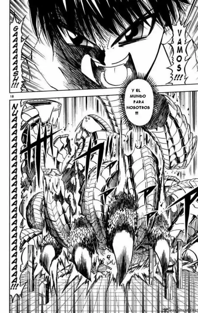 Konjiki No Gash Bell - Capítulo 254 - Página 16 - LectorTMOo