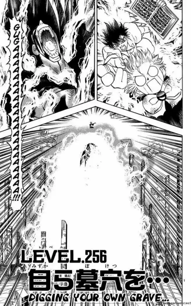 Konjiki No Gash Bell - Capítulo 256 - Página 1 - LectorTMOo