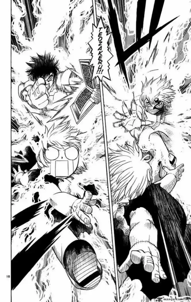 Konjiki No Gash Bell - Capítulo 257 - Página 17 - LectorTMOo