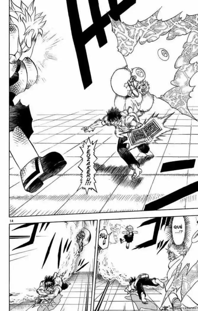 Konjiki No Gash Bell - Capítulo 259 - Página 14 - LectorTMOo