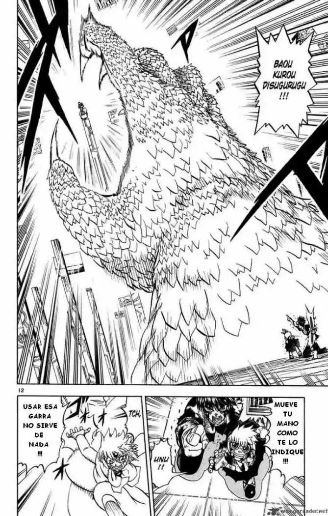 Konjiki No Gash Bell - Capítulo 260 - Página 12 - LectorTMOo