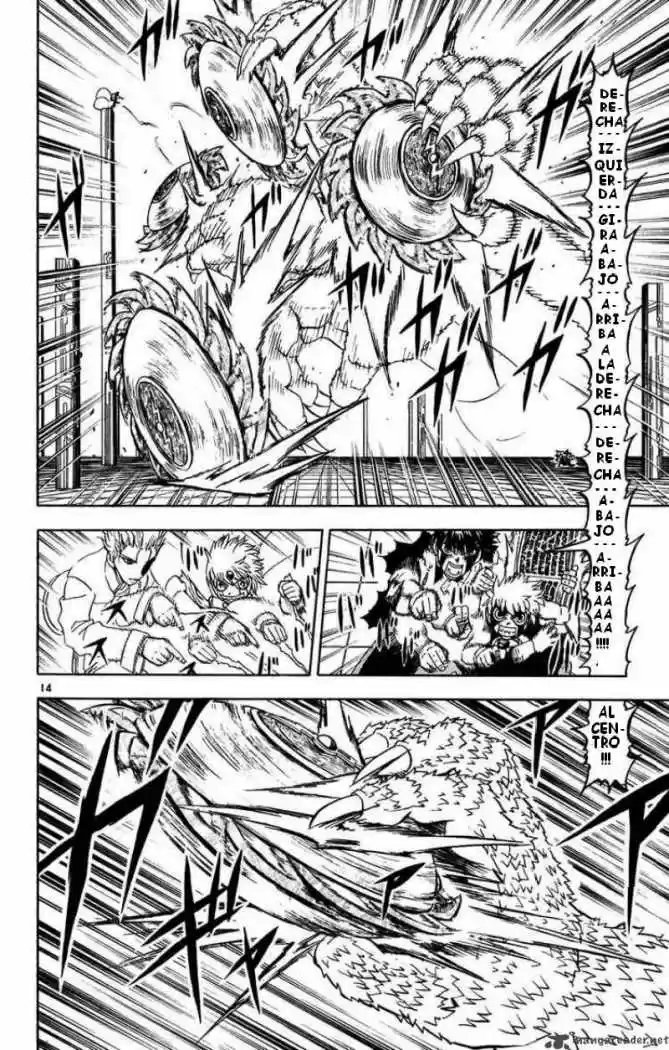 Konjiki No Gash Bell - Capítulo 260 - Página 14 - LectorTMOo