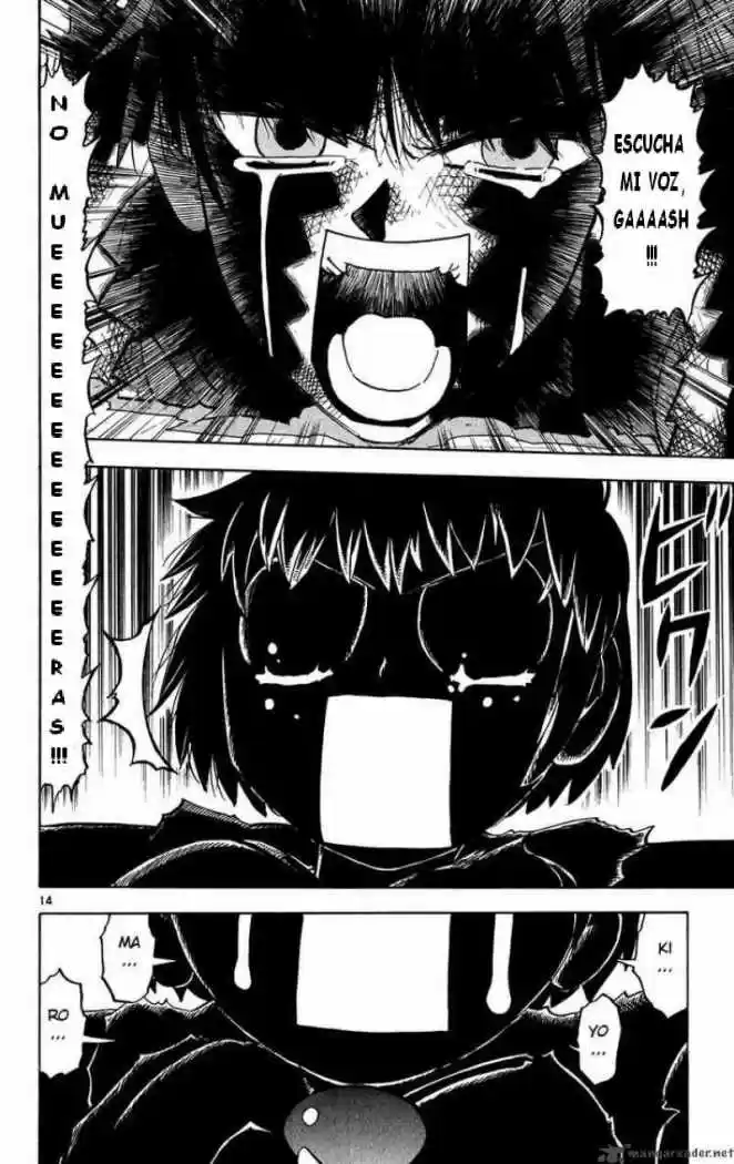 Konjiki No Gash Bell - Capítulo 262 - Página 13 - LectorTMOo