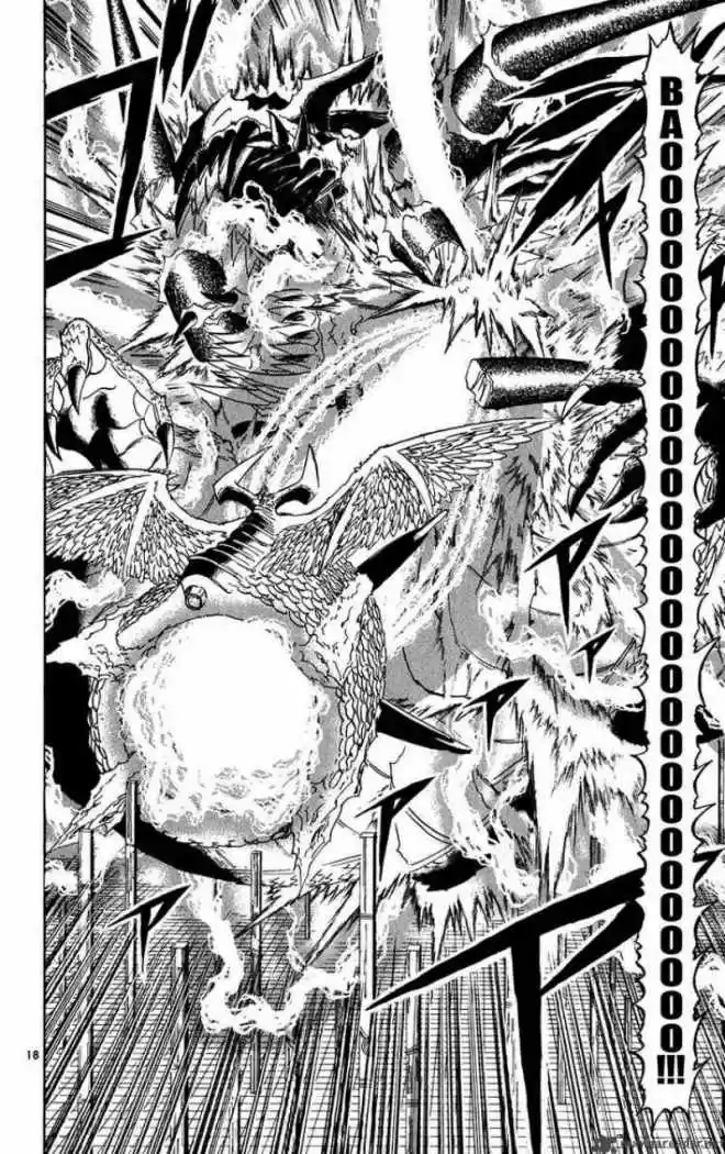 Konjiki No Gash Bell - Capítulo 262 - Página 17 - LectorTMOo