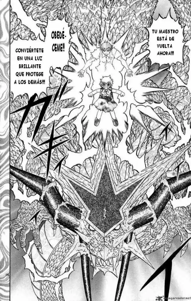 Konjiki No Gash Bell - Capítulo 270 - Página 15 - LectorTMOo
