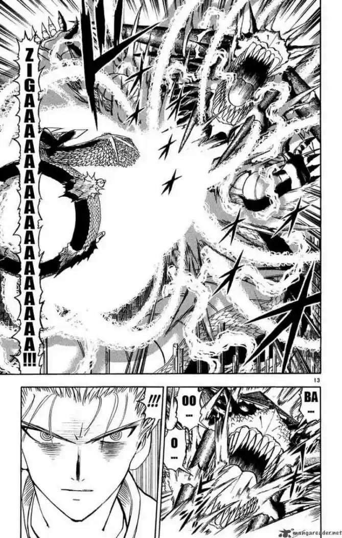 Konjiki No Gash Bell - Capítulo 271 - Página 13 - LectorTMOo