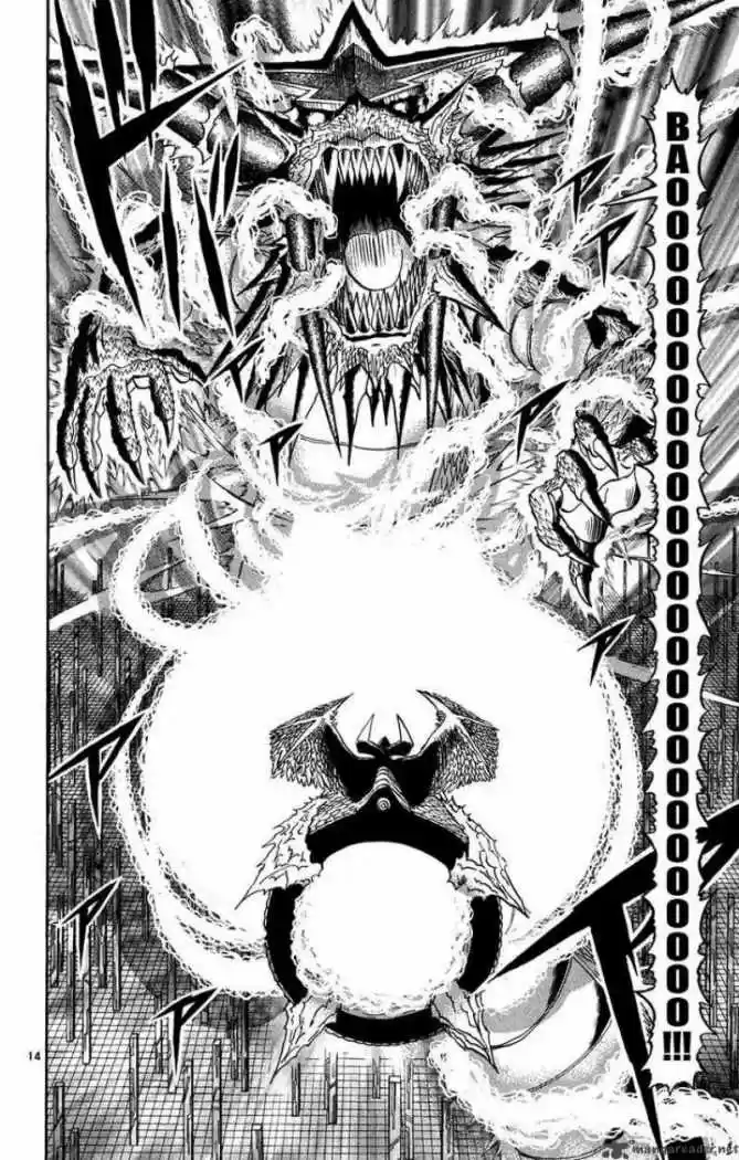 Konjiki No Gash Bell - Capítulo 271 - Página 14 - LectorTMOo