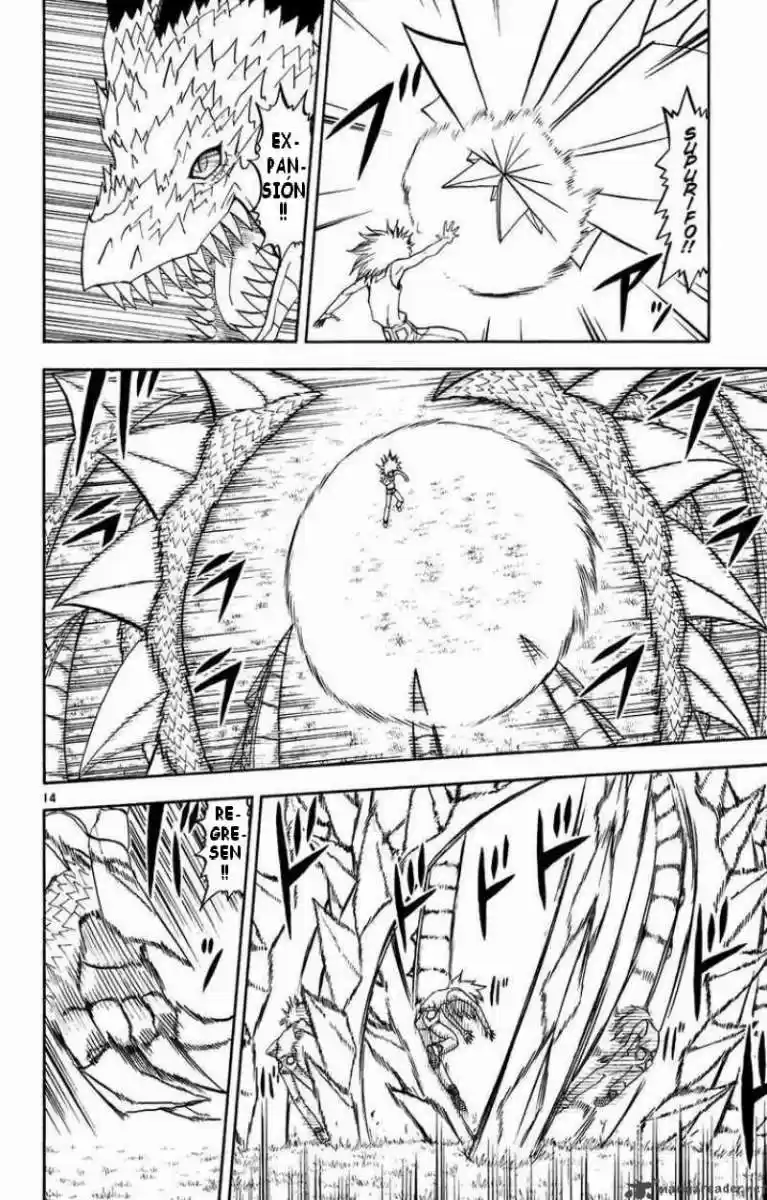 Konjiki No Gash Bell - Capítulo 287 - Página 13 - LectorTMOo