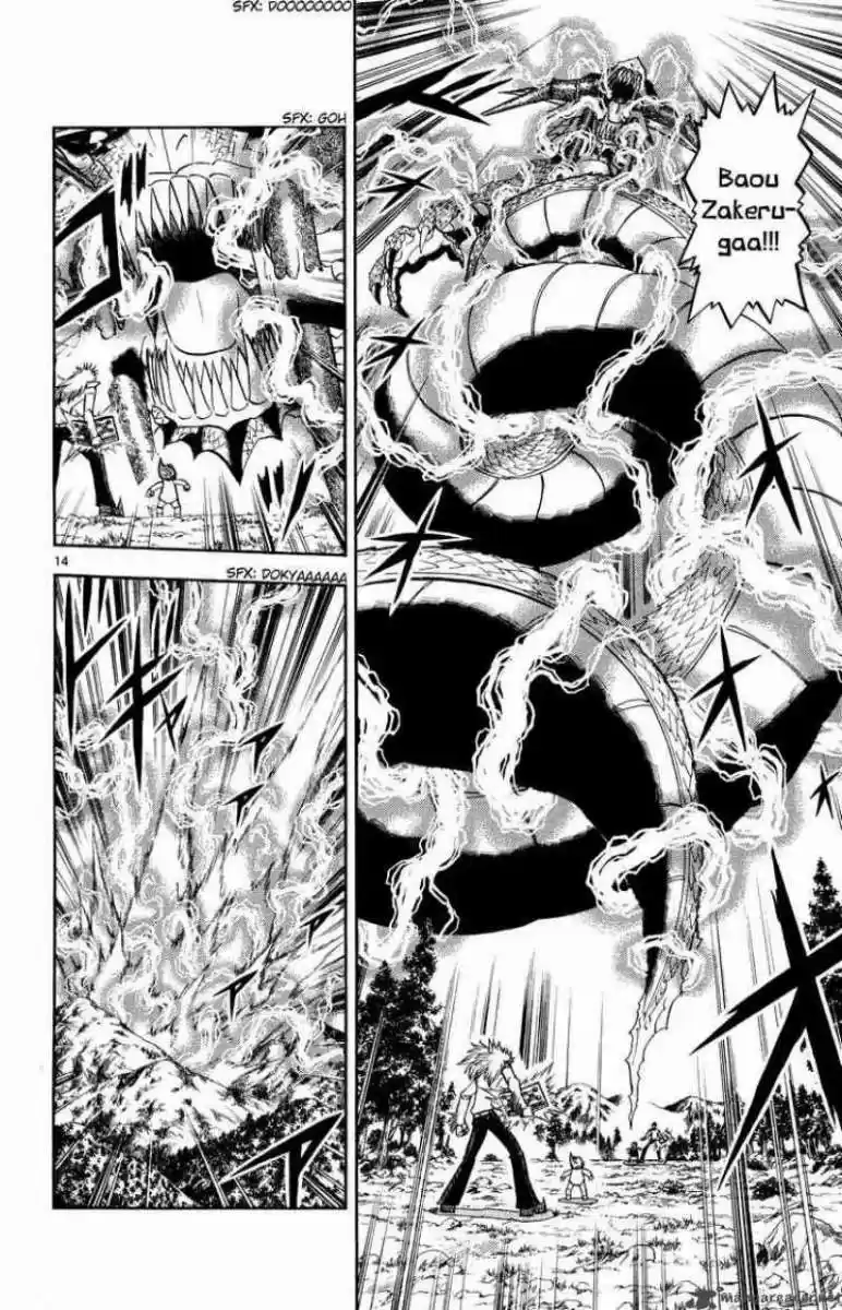 Konjiki No Gash Bell - Capítulo 294 - Página 14 - LectorTMOo