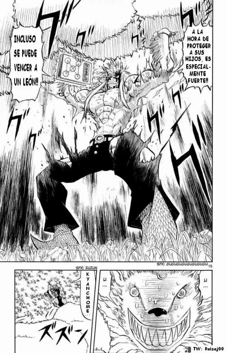 Konjiki No Gash Bell - Capítulo 300 - Página 15 - LectorTMOo