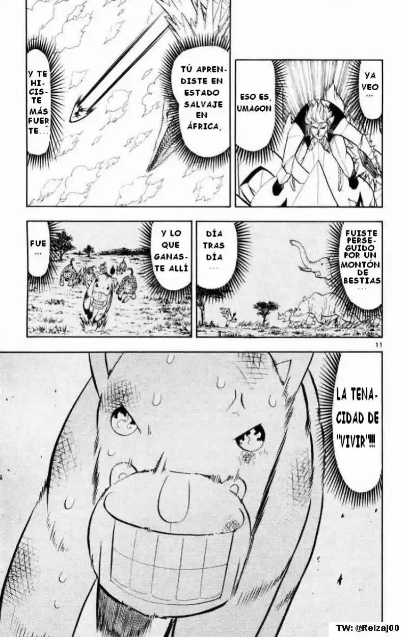 Konjiki No Gash Bell - Capítulo 306 - Página 11 - LectorTMOo