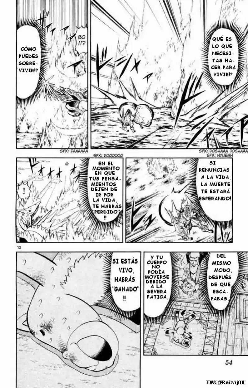 Konjiki No Gash Bell - Capítulo 306 - Página 12 - LectorTMOo