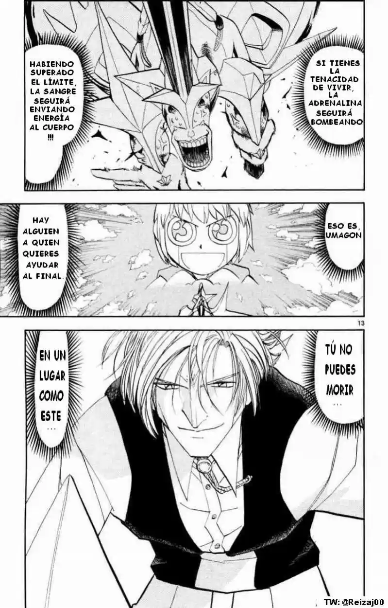 Konjiki No Gash Bell - Capítulo 306 - Página 13 - LectorTMOo