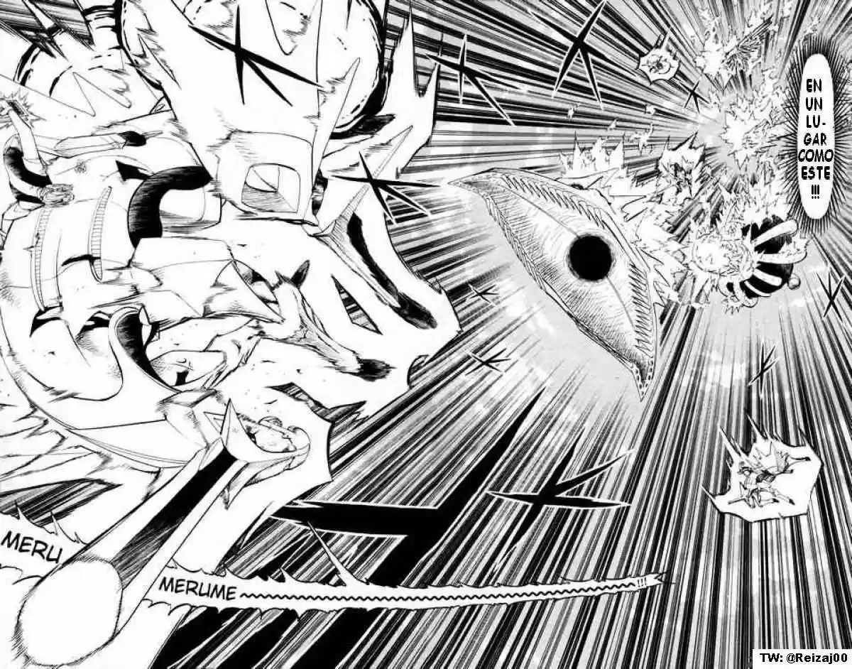 Konjiki No Gash Bell - Capítulo 306 - Página 14 - LectorTMOo
