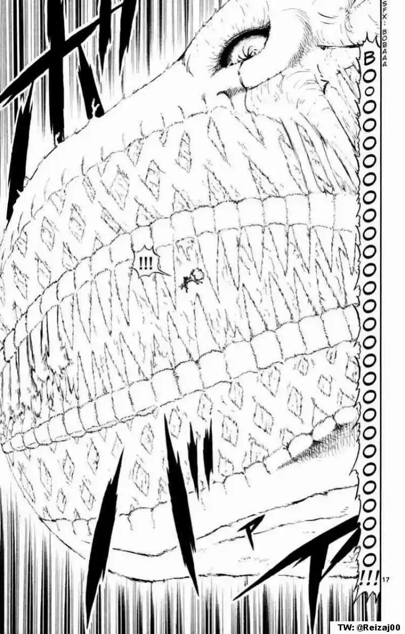 Konjiki No Gash Bell - Capítulo 306 - Página 16 - LectorTMOo
