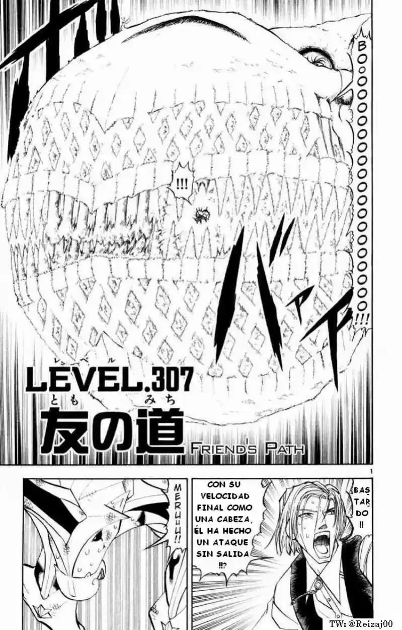 Konjiki No Gash Bell - Capítulo 307 - Página 1 - LectorTMOo
