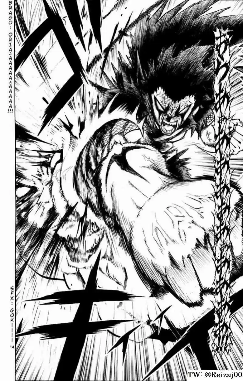 Konjiki No Gash Bell - Capítulo 310 - Página 13 - LectorTMOo