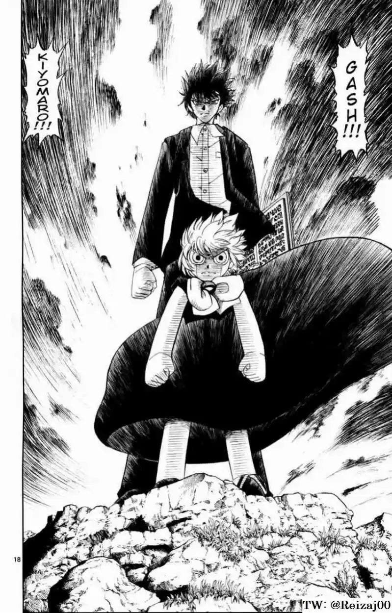 Konjiki No Gash Bell - Capítulo 312 - Página 17 - LectorTMOo