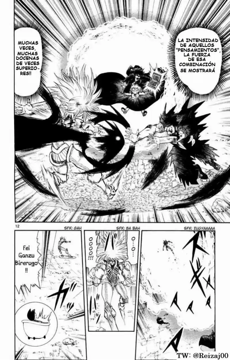 Konjiki No Gash Bell - Capítulo 313 - Página 12 - LectorTMOo