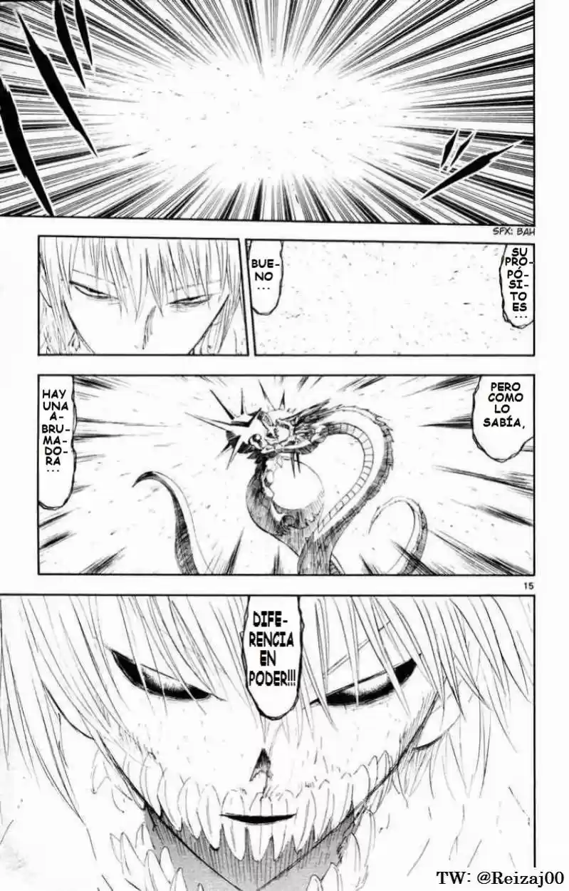 Konjiki No Gash Bell - Capítulo 315 - Página 13 - LectorTMOo