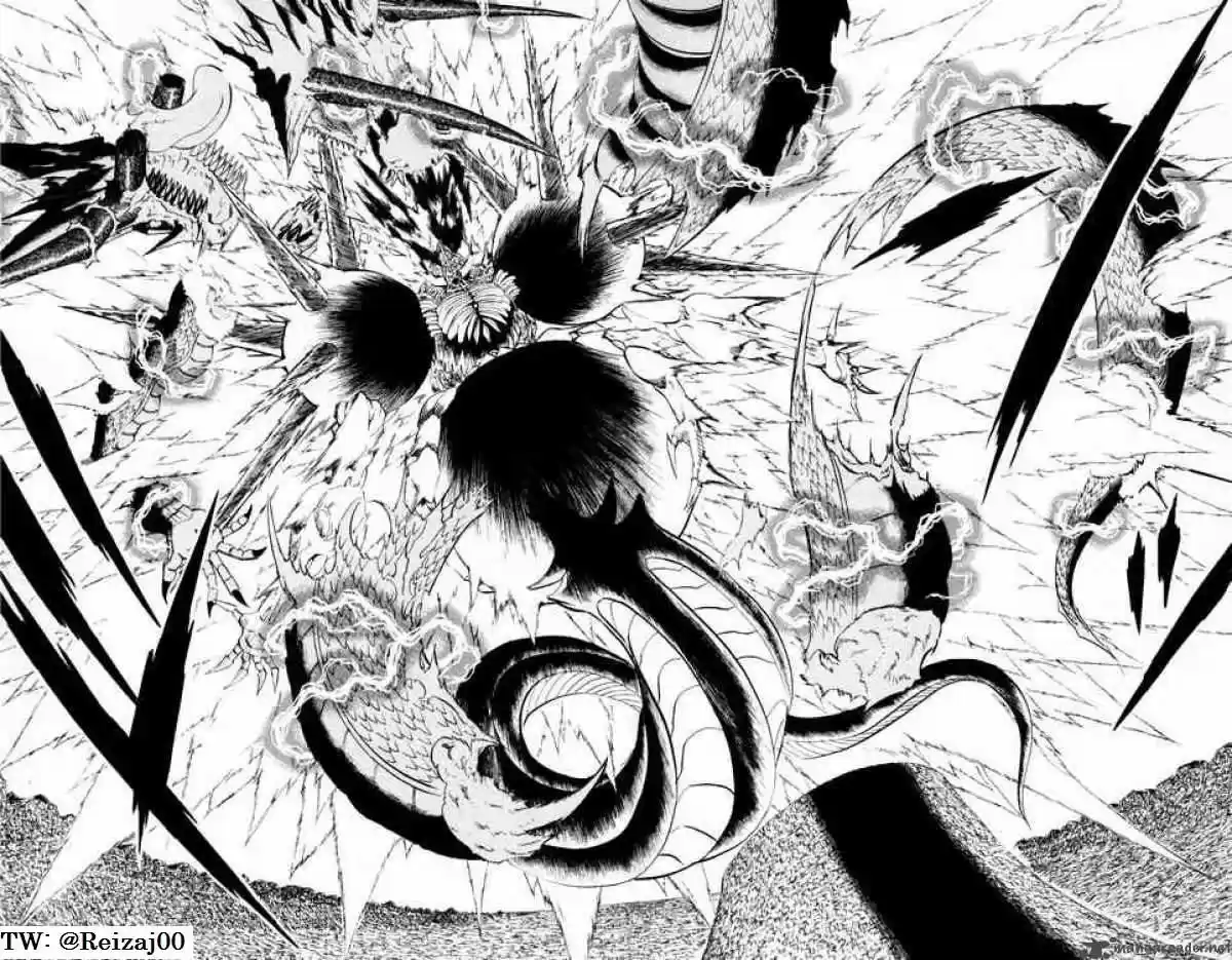 Konjiki No Gash Bell - Capítulo 315 - Página 14 - LectorTMOo