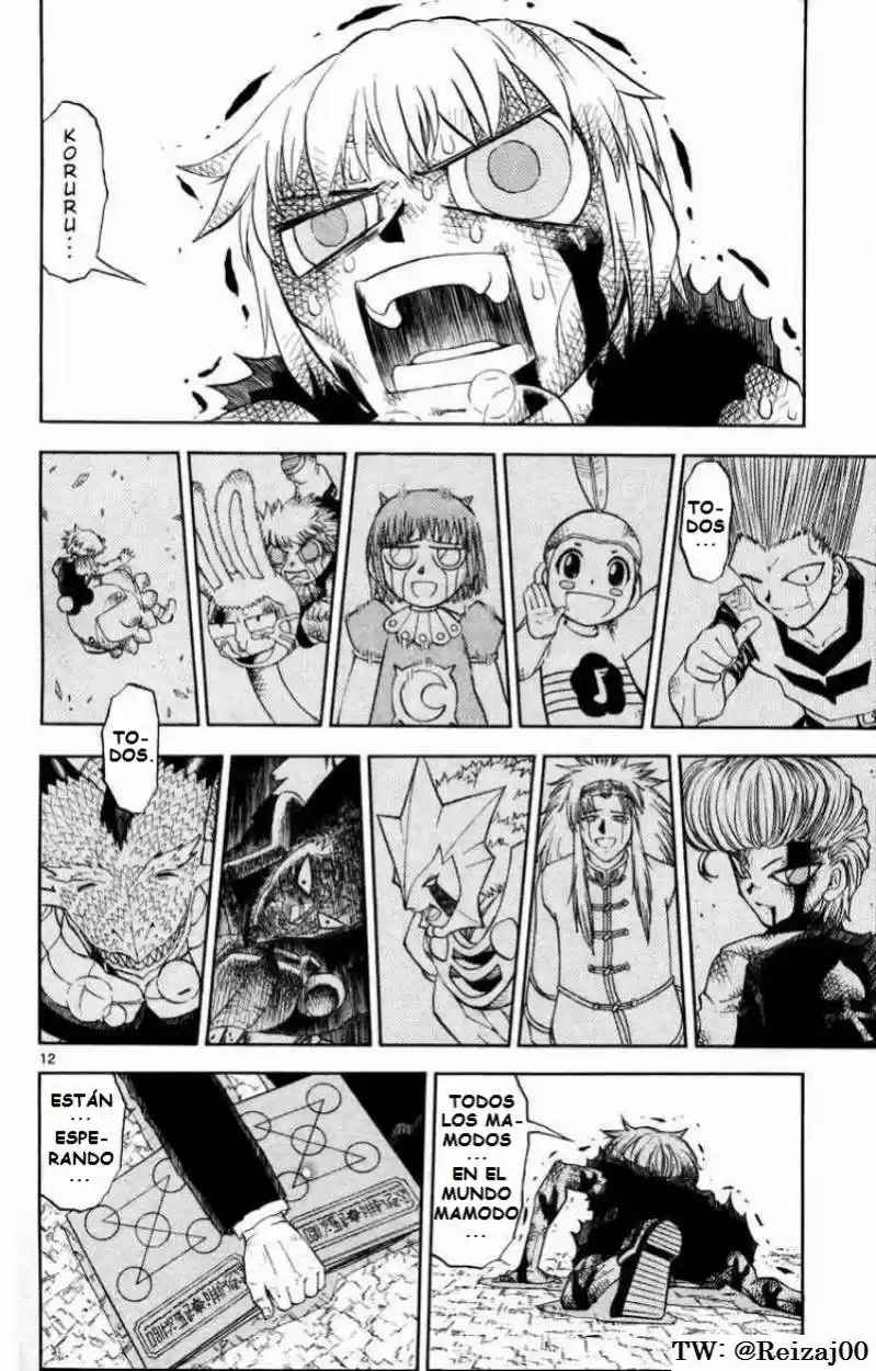 Konjiki No Gash Bell - Capítulo 316 - Página 12 - LectorTMOo