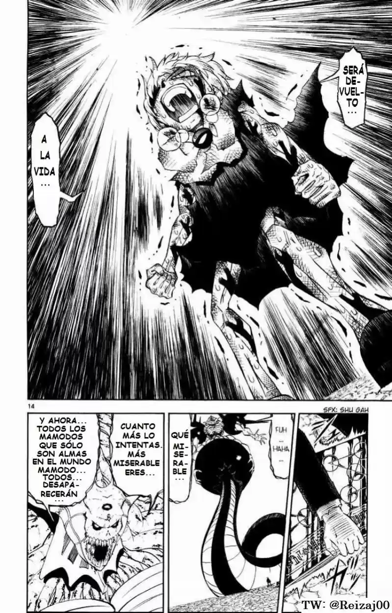 Konjiki No Gash Bell - Capítulo 316 - Página 14 - LectorTMOo