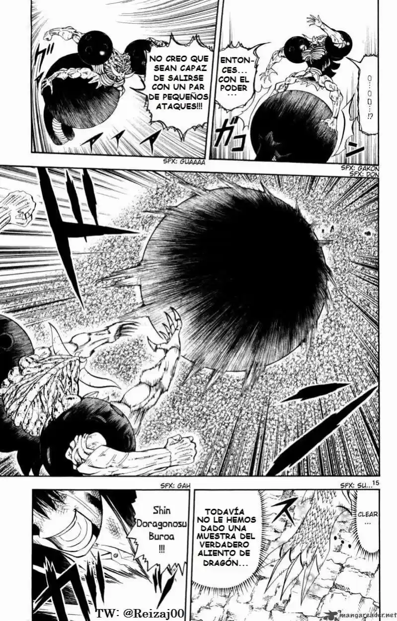 Konjiki No Gash Bell - Capítulo 317 - Página 14 - LectorTMOo