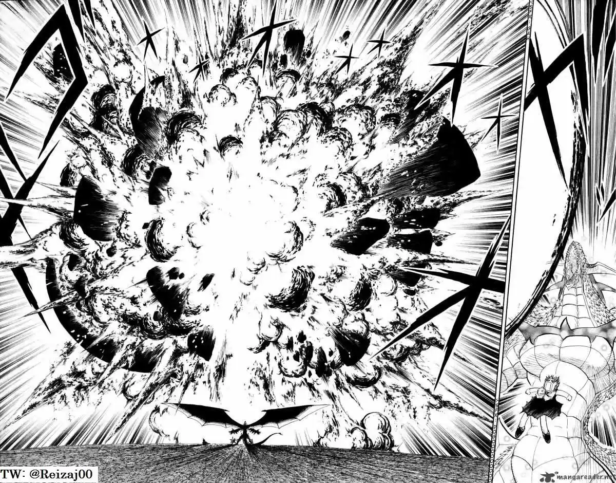Konjiki No Gash Bell - Capítulo 317 - Página 15 - LectorTMOo