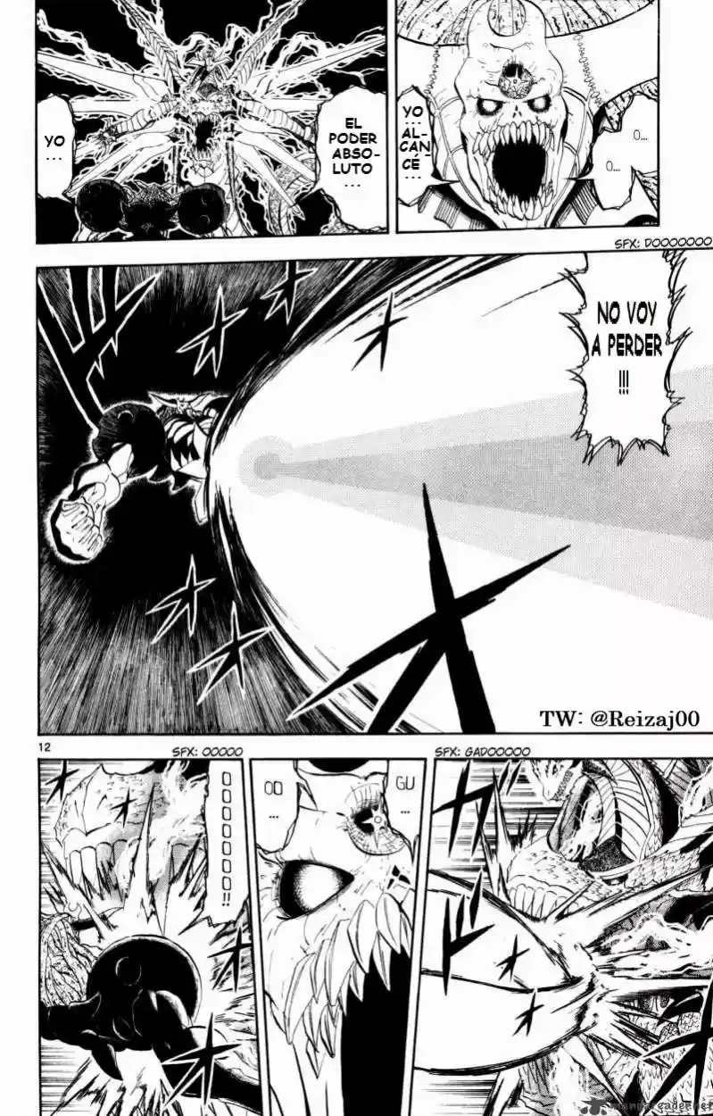 Konjiki No Gash Bell - Capítulo 319 - Página 11 - LectorTMOo