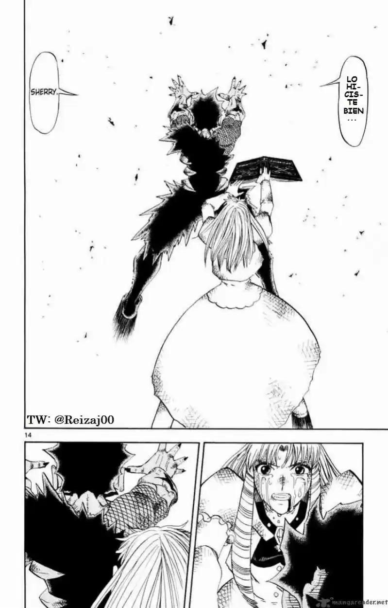 Konjiki No Gash Bell - Capítulo 321 - Página 14 - LectorTMOo