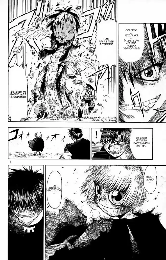Konjiki no Gash - Capítulo 15 - Página 14 - LectorTMOo
