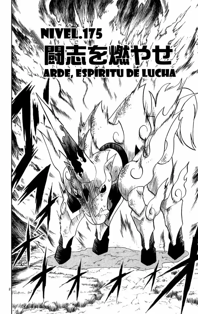 Konjiki no Gash - Capítulo 175 - Página 2 - LectorTMOo