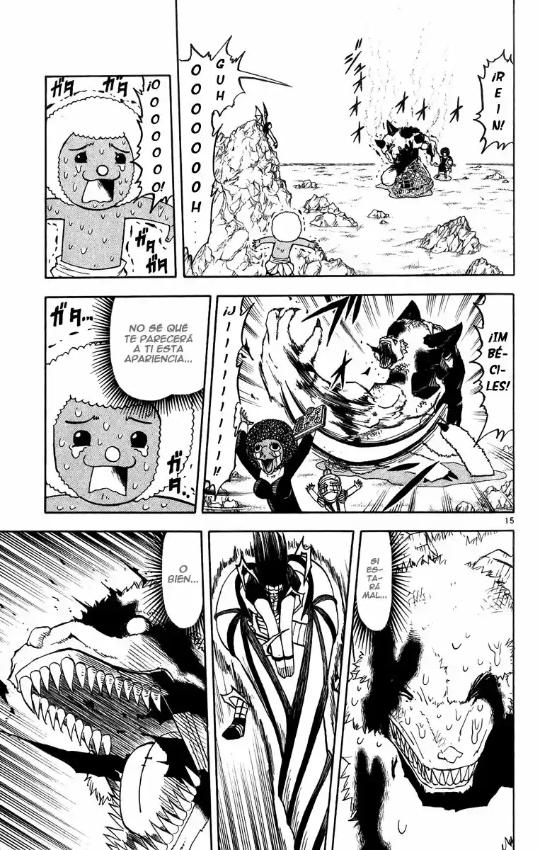 Konjiki no Gash - Capítulo 181 - Página 15 - LectorTMOo