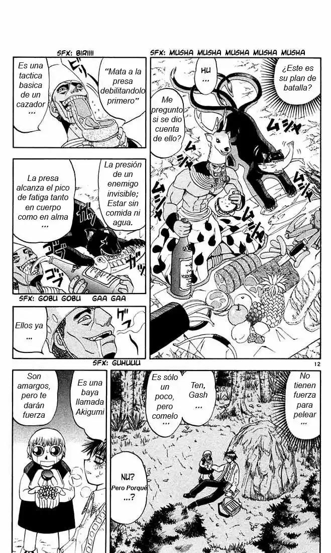 Konjiki no Gash - Capítulo 81 - Página 13 - LectorTMOo