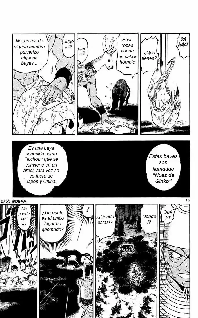 Konjiki no Gash - Capítulo 81 - Página 17 - LectorTMOo